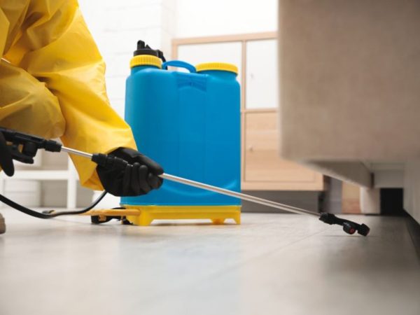 Fumigation-Services-in-Nairobi