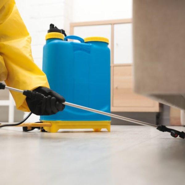 Fumigation-Services-in-Nairobi Fumigation-Services-in-Nairobi